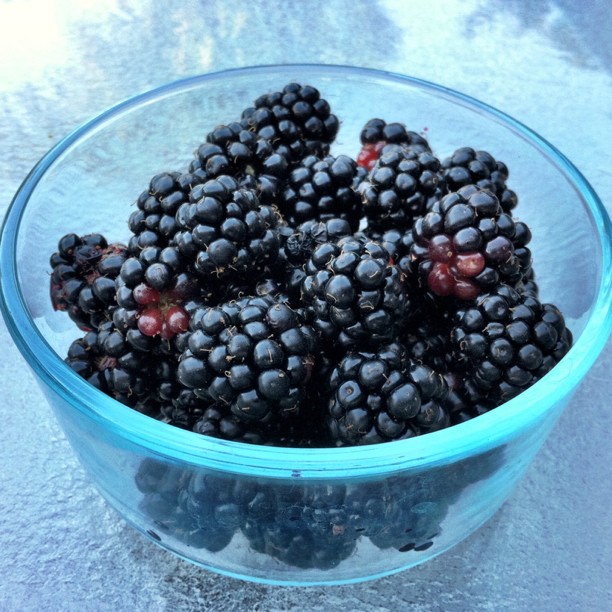 Fresh blackberries (Taken with instagram)
