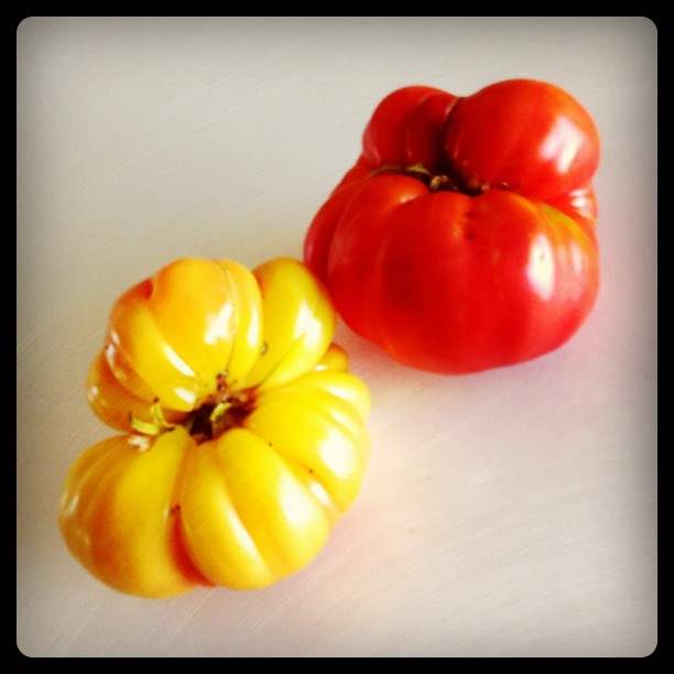 Big Rainbow heirloom tomato on the left. Mariana&#8217;s Peace on the right.  (Taken with instagram)