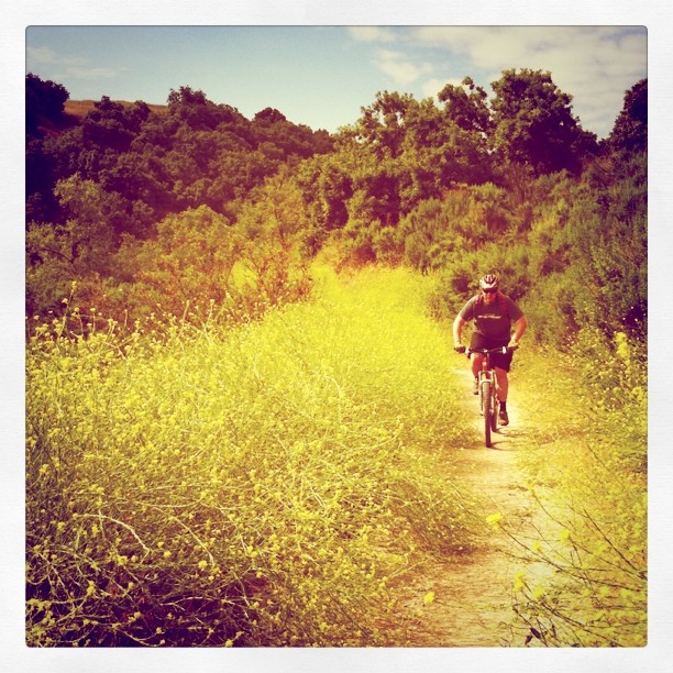 On the trail (Taken with instagram)