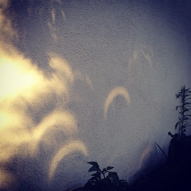 Eclipse shaped shadows (Taken with instagram)