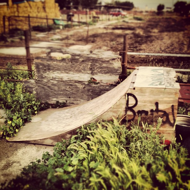 Brutal ramp bro (Taken with Instagram at Amy&#8217;s Farm)