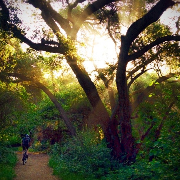 Marshall Canyon on Earth Day (Taken with instagram)