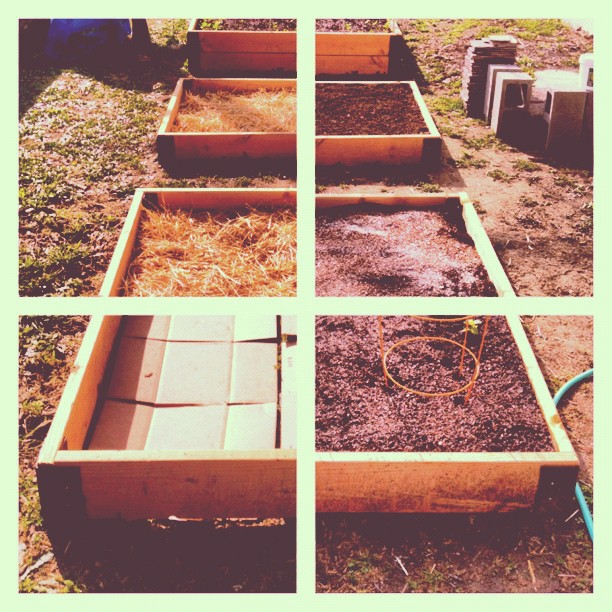 The 4 step raised garden box process (Taken with instagram)