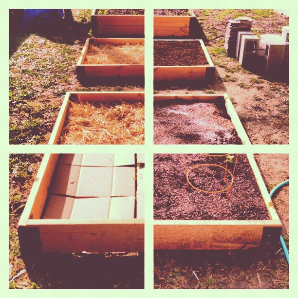 The 4 step raised garden box process (Taken with instagram)