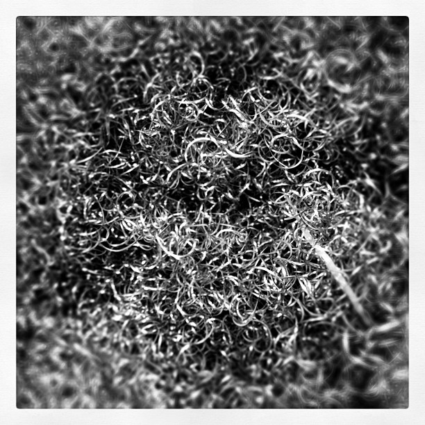 Shavings from a lathe.  (Taken with instagram)