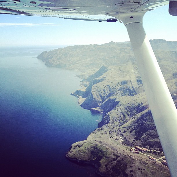 Catalina (Taken with instagram)