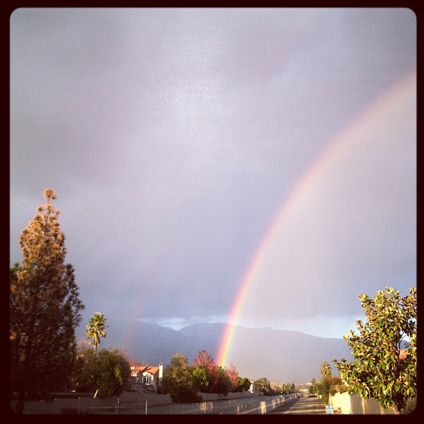 Rainbow (Taken with instagram)