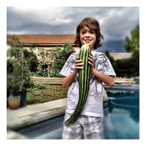 Epic Cucumber (Taken with instagram)
