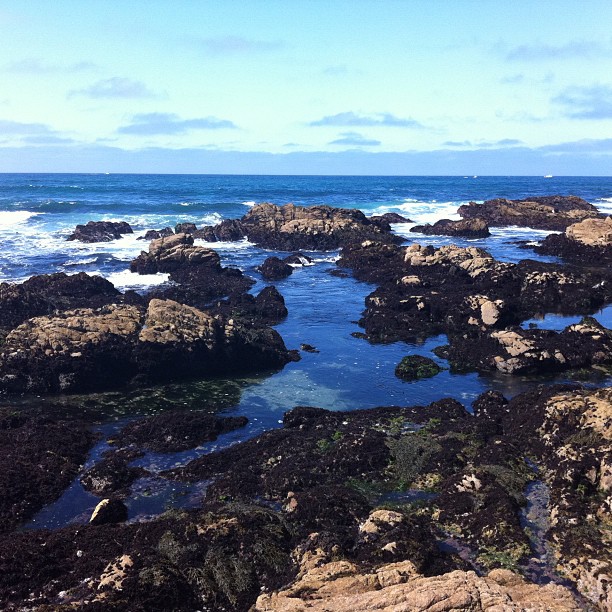 Check out the view (Taken with Instagram at The Links at Spanish Bay)