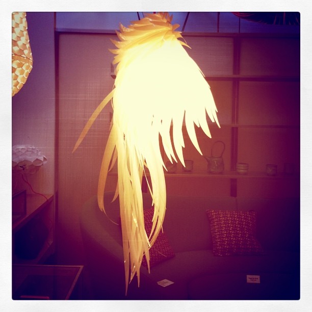 Mullet lamp (Taken with instagram)