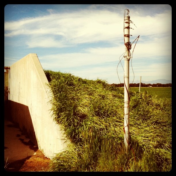 Bunker (Taken with instagram)