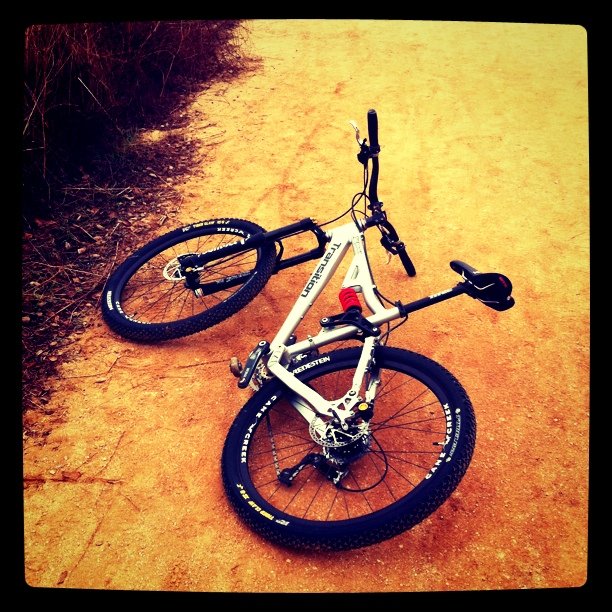 Transition (Taken with instagram at Claremont Wilderness Trail)