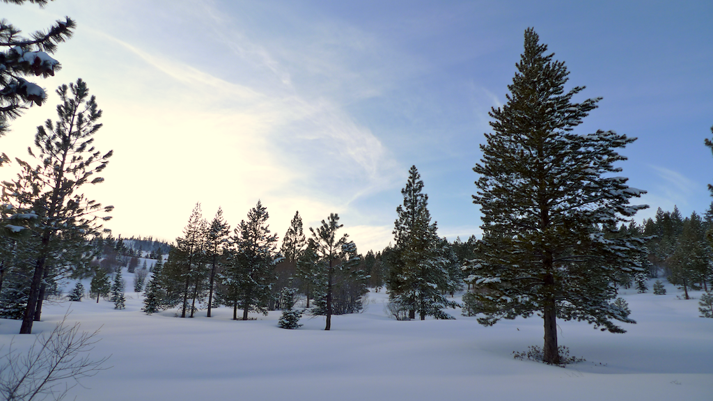 I love the way the snow in the foreground looks