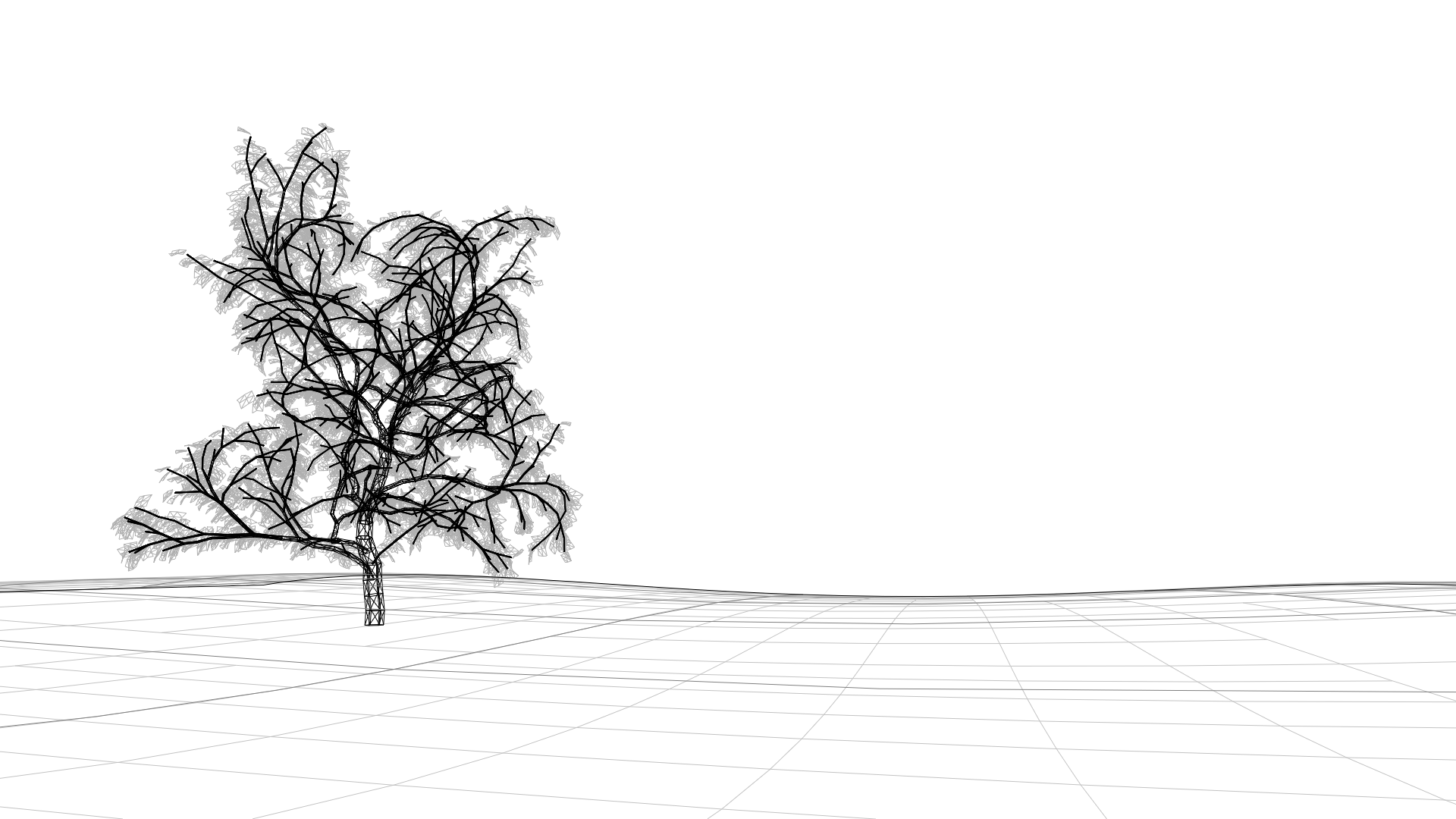 wireframe model