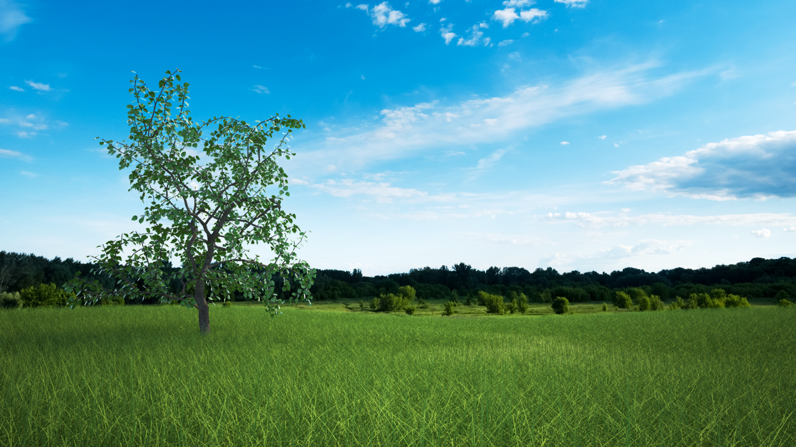 tree w tall grass composite copy_1600.png