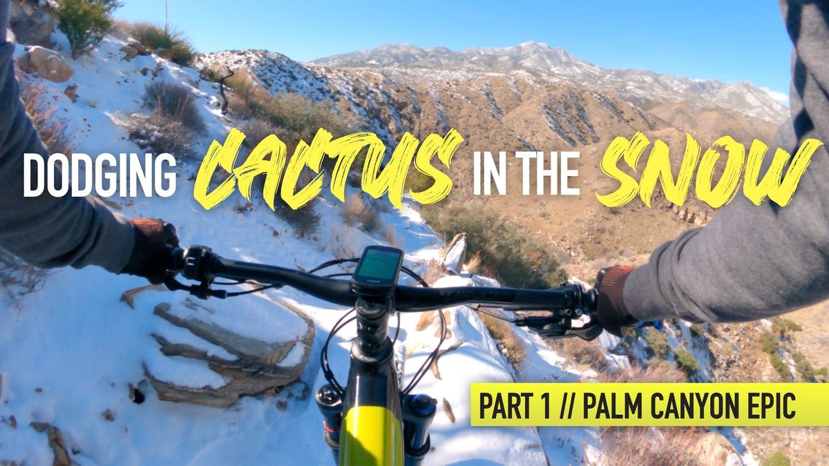✱ TRXL MTB – Palm Canyon Epic in the Snow - Part 1 of 2